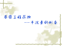 干扰素的工艺制备流程
