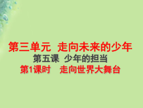 3.5.1第五课《少年的担当-走向世界大舞台》PPT课件3-九年级下册道德与法治部编版