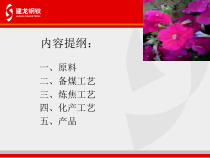 焦化厂详细工艺流程