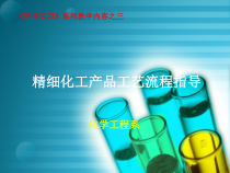 精细化工产品工艺流程指导-精细化工产品工艺流程的辅导