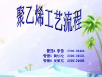聚乙烯工艺流程图