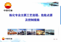 炼化专业主要工艺流程危险点源及控制措施教材