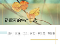 链霉素工艺流程设计