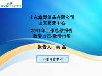 11年工作总结