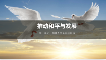 1.2.1第二课《构建人类命运共同体-推动和平与发展》PPT课件2-九年级下册道德与法治部编版