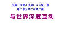 2.3.2第三课《与世界紧相连-与世界深度互动》PPT课件13-九年级下册道德与法治部编版