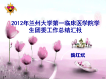 X年一临团委工作总结