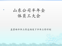 半年工作总结(服装终端)
