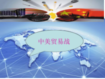 1.1.2第一课《同住地球村-复杂多变的关系》PPT课件3(共33页)-九年级下册道德与法治部编版