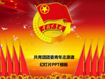 共青团团委青年志愿者工作总结