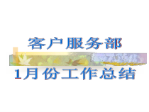 某公司客户服务部工作总结