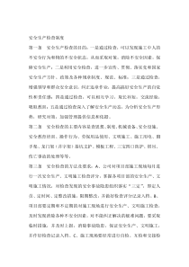 XXX公司安全生产检查制度