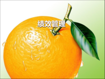阿里巴巴绩效管理