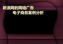 策划案例_新浪网络电子商务案例分析