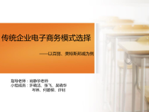 传统企业进入电子商务模式选择展示版