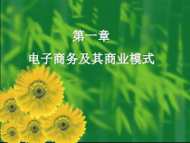 第1章电商