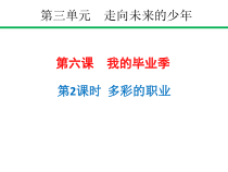 3.6.2第六课《我的毕业季-多彩的职业》PPT课件5-九年级下册道德与法治部编版