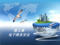 第5章电子商务安全