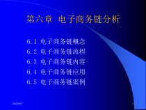第6章__电子商务链分析
