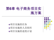 第6章电子商务项目实施方案