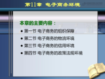 第11章电子商务环境