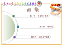 第11章电子商务的发展状态