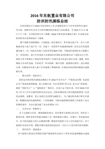 防洪防汛演练总结