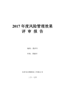 风险控制效果评价报告