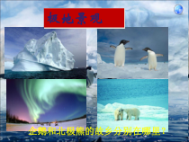 《第十章 极地地区》PPT课件1-七年级下册地理人教版