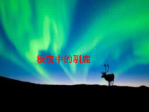 《第十章 极地地区》PPT课件5-七年级下册地理人教版