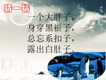《第十章 极地地区》PPT课件4-七年级下册地理人教版