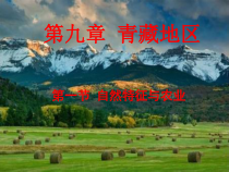 《第一节 自然特征与农业》PPT课件1-鲁教版（五四制）地理七年级下册