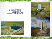 《第二节 高原湿地——三江源地区》PPT课件1-鲁教版（五四制）地理七年级下册
