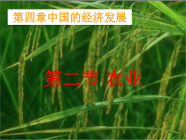 4.2《农业》PPT课件4-八年级上册地理人教版