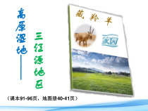 《第二节 高原湿地——三江源地区》PPT课件3-鲁教版（五四制）地理七年级下册