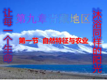 9.1《自然特征与农业》PPT课件2-八年级下册地理人教版