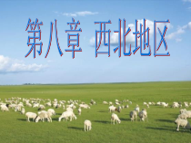 《第一节 自然特征与农业》PPT课件10-鲁教版（五四制）地理七年级下册