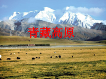 《第一节 自然特征与农业》PPT课件13-鲁教版（五四制）地理七年级下册