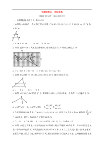 (通用版)中考数学一轮总复习专题检测24《相似变换》(教师版) 