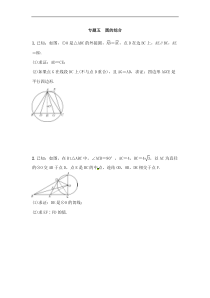 (通用版)中考数学总复习专题5《圆的综合》精练卷（原卷版）