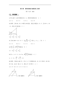 (通用版)中考数学总复习6.1《相似》精练卷（教师版）
