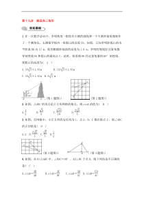(通用版)中考数学总复习6.2《解直角三角形》精练卷（教师版）