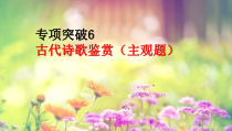 2022届高考专题复习：古代诗歌鉴赏主观题专项突破课件