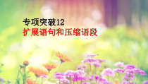 2022届高考专题复习：扩展语句和压缩语段专项突破课件