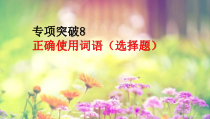 2022届高考专题复习：正确使用词语（选择题）专项突破课件