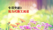 2022届高考专题复习：现当代散文阅读专项突破课件