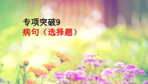 2022届高考专题复习：病句（选择题）专项突破课件