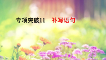 2022届高考专题复习：补写语句专项突破课件