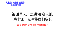 《我们与法律同行》PPT课件3-统编版七年级下册道德与法治
