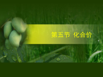 《课题4 化学式与化合价》教学课件-九年级上册化学人教版